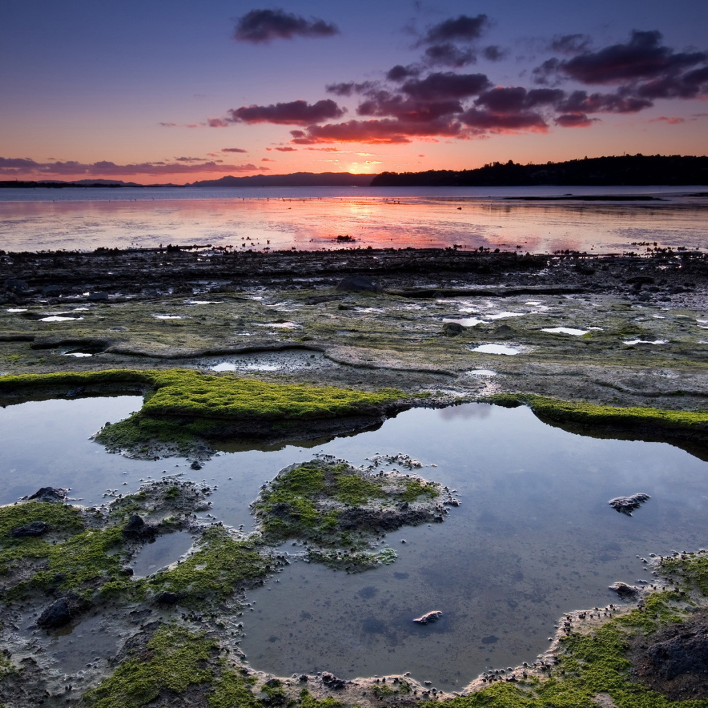 Омелевший берег