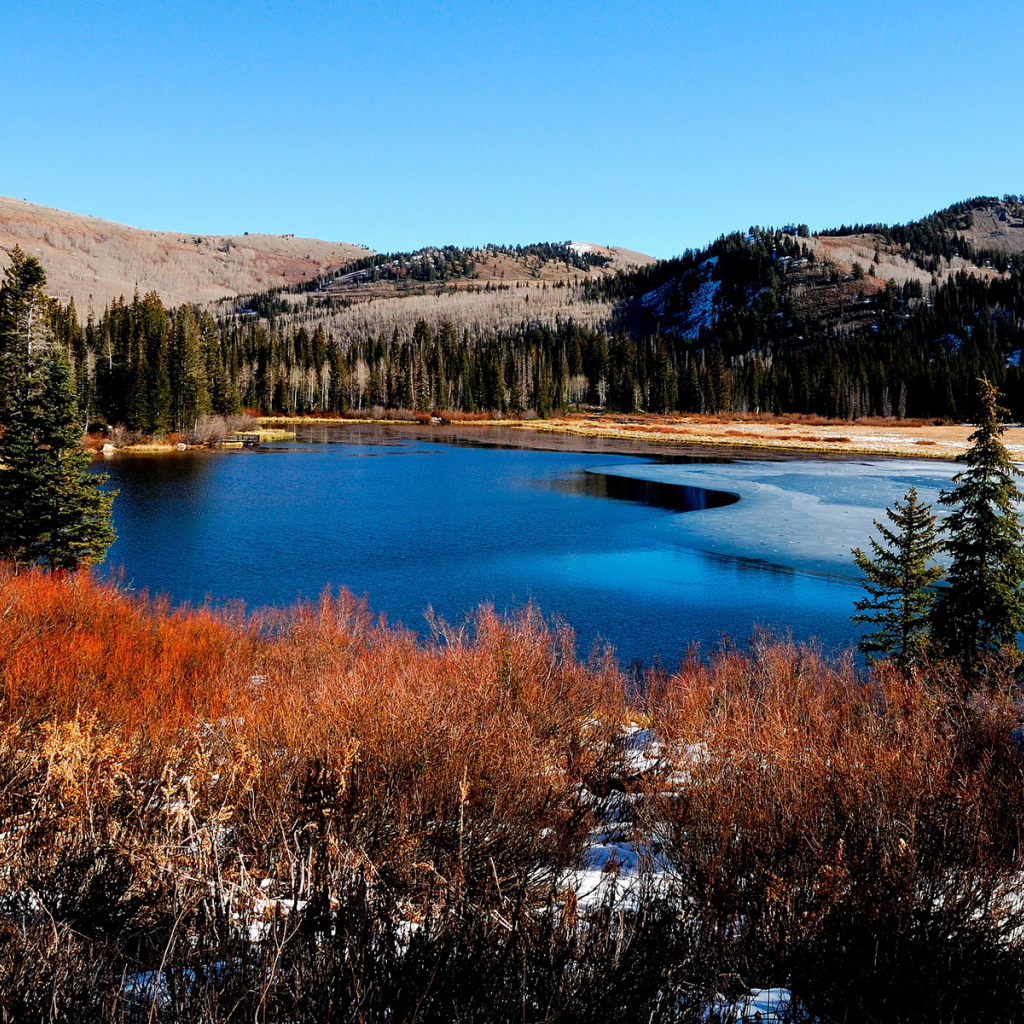 Красивый пейзаж