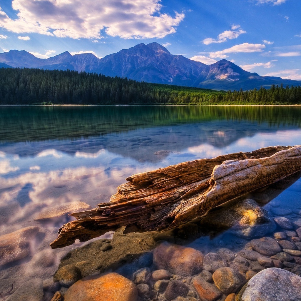 Красивый пейзаж