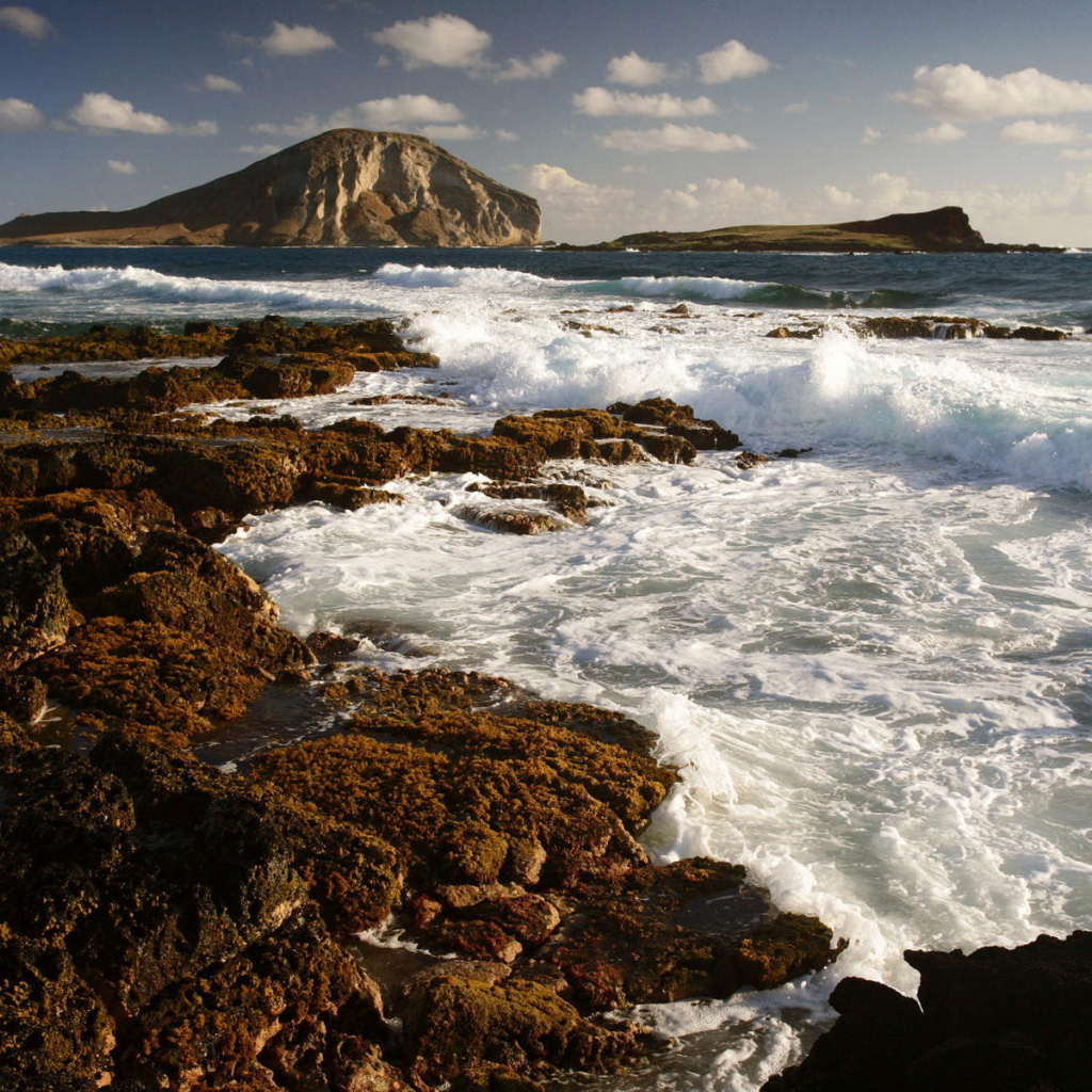 Морской берег