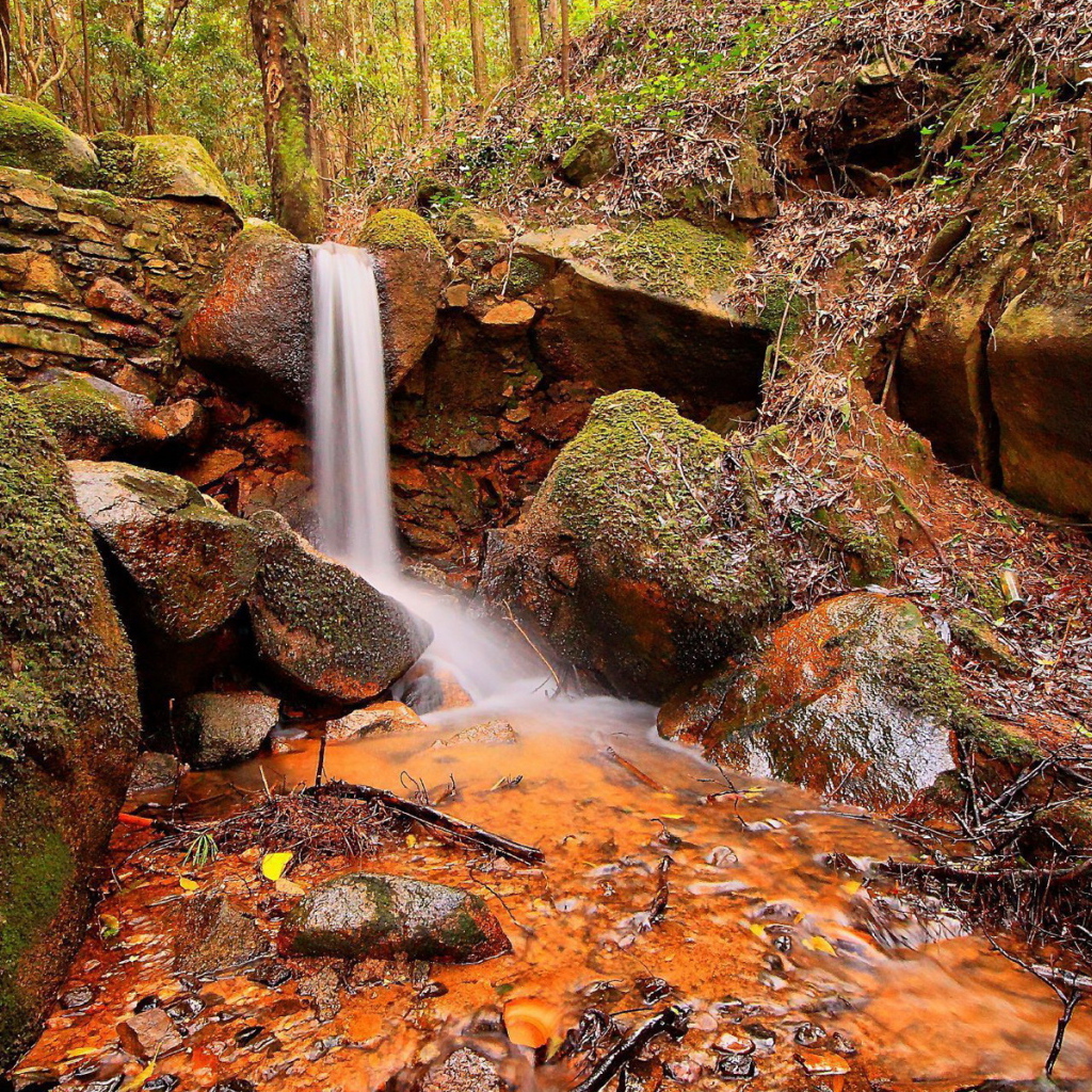 Ручей и камни