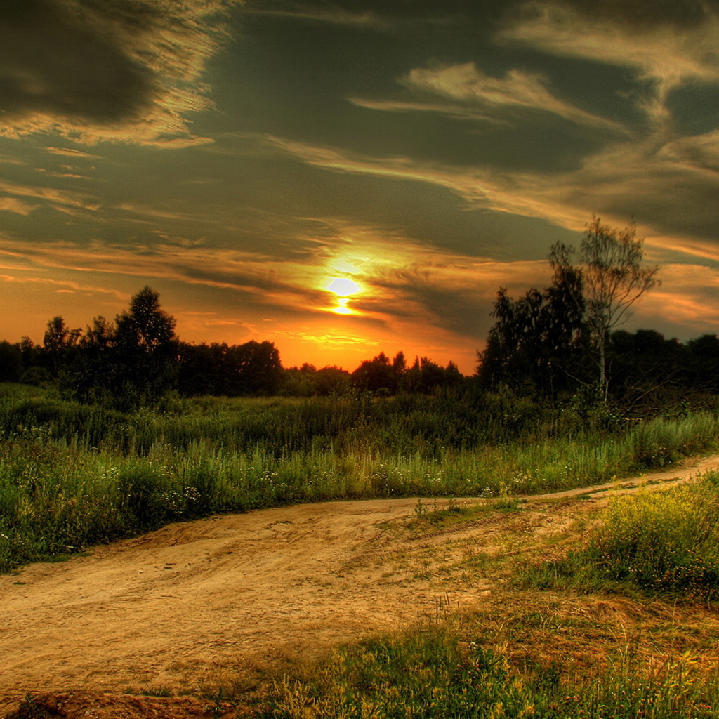 Грунтовая дорога