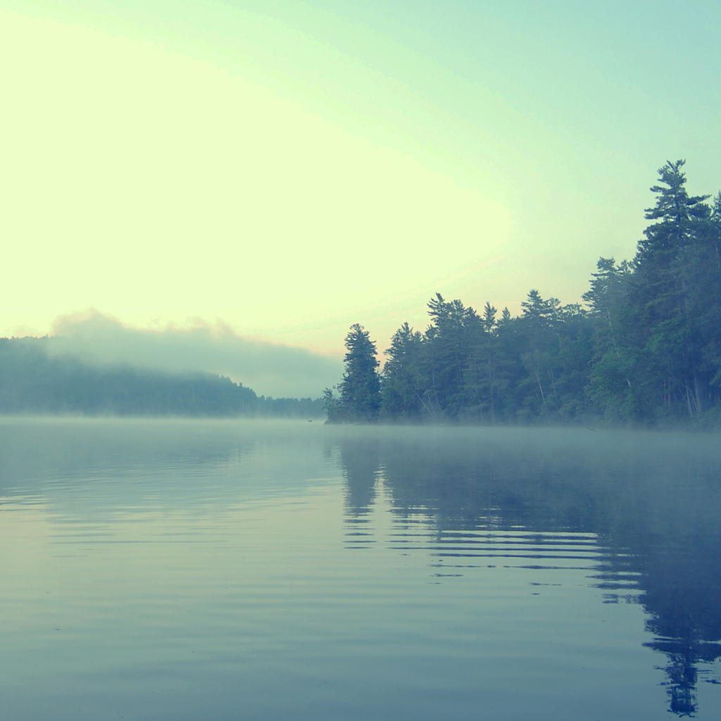 Туман в сумерках