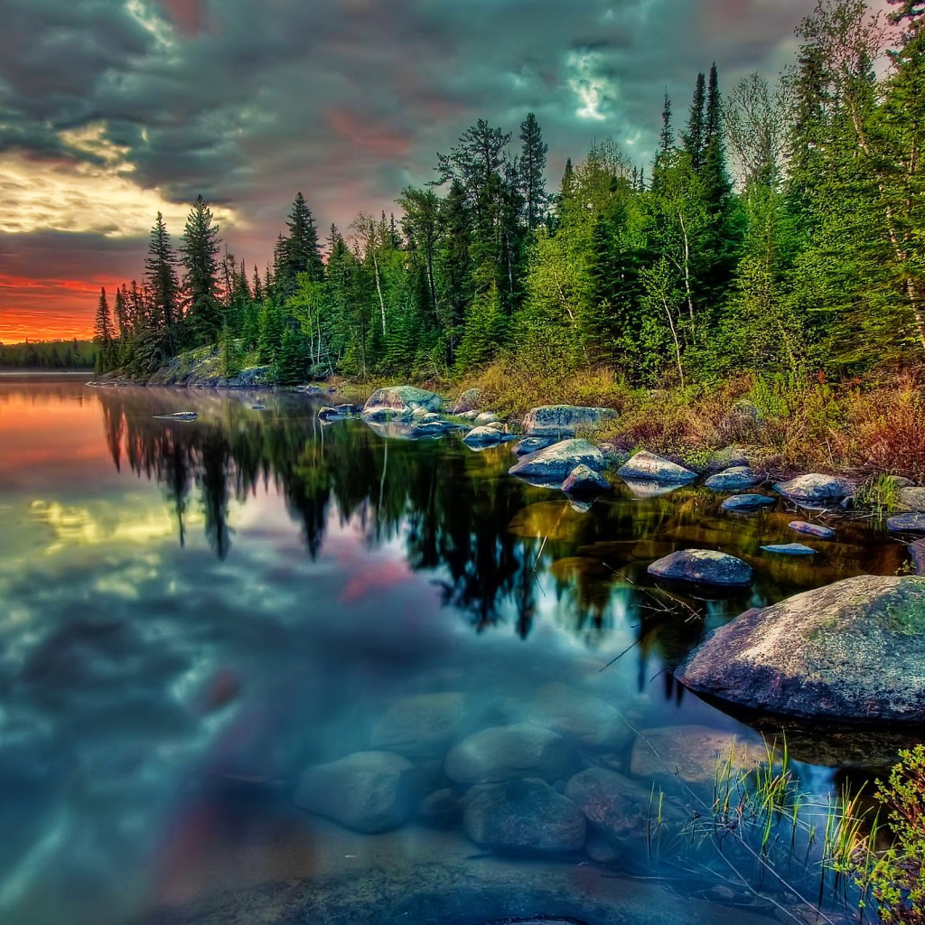 Лесное озеро