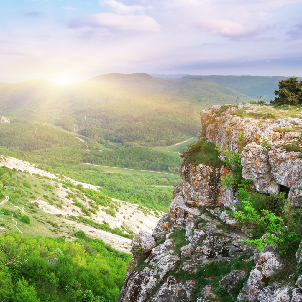 Лесная долина