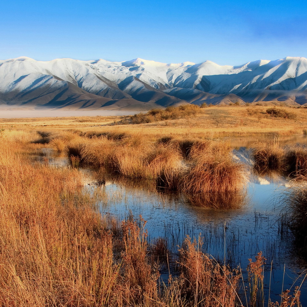 Болото и горы