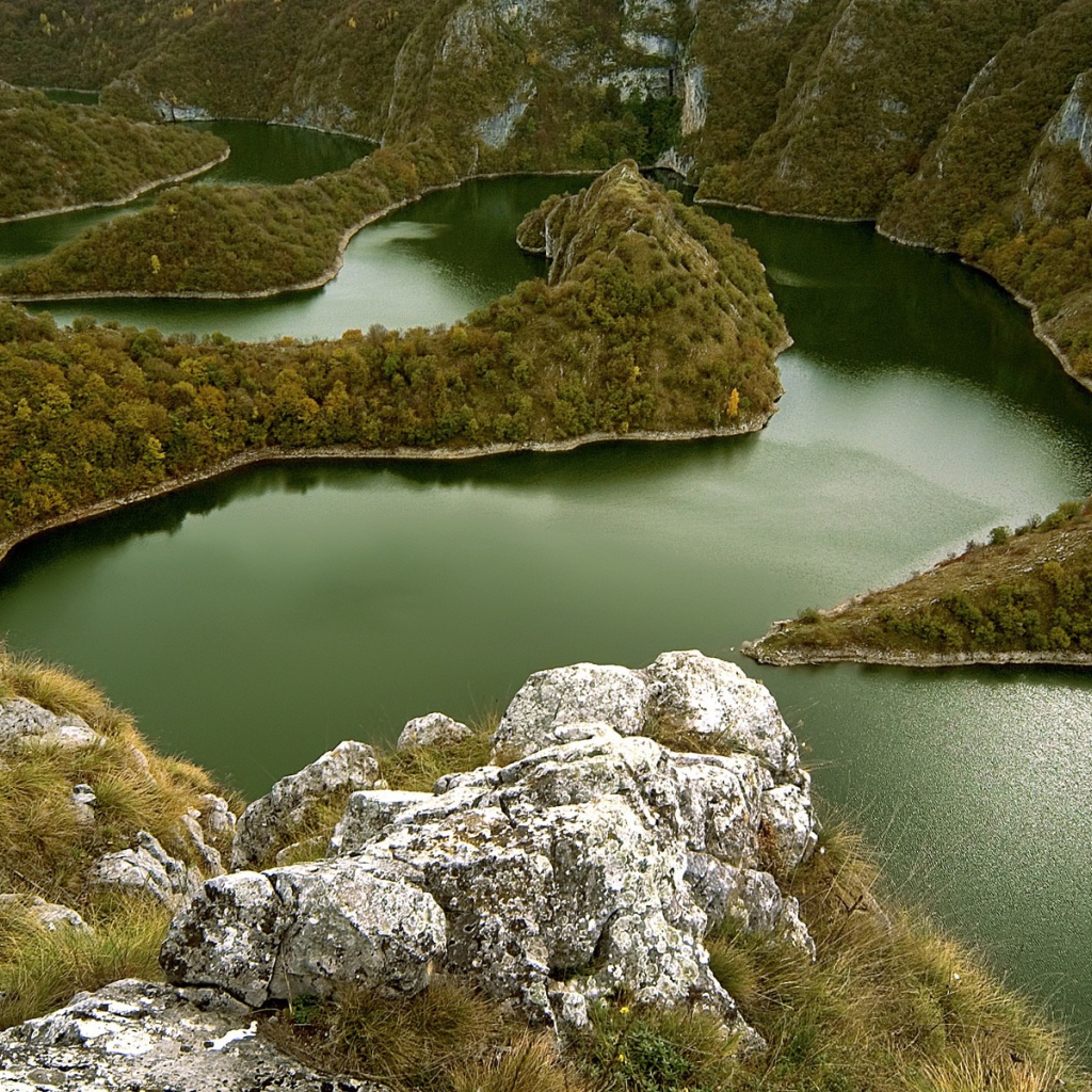 Извилистая река