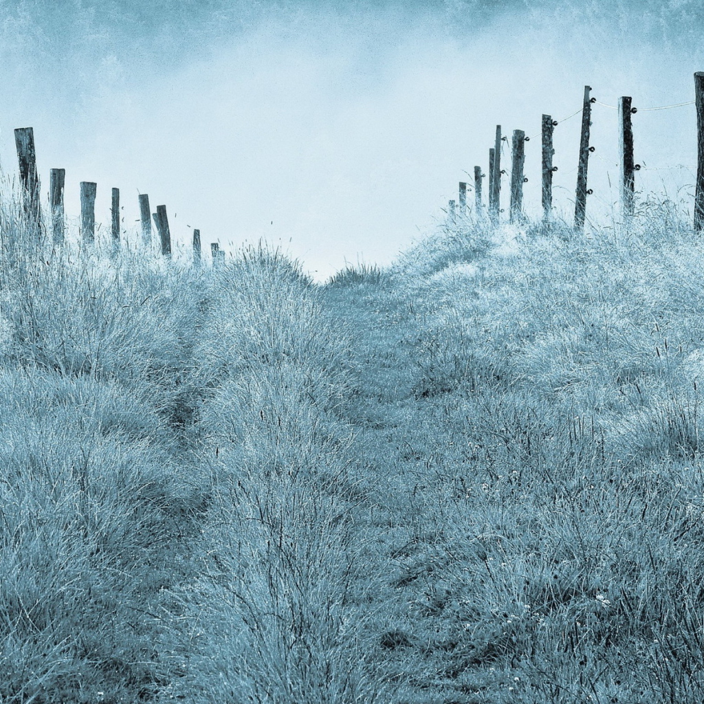 Туманным утром