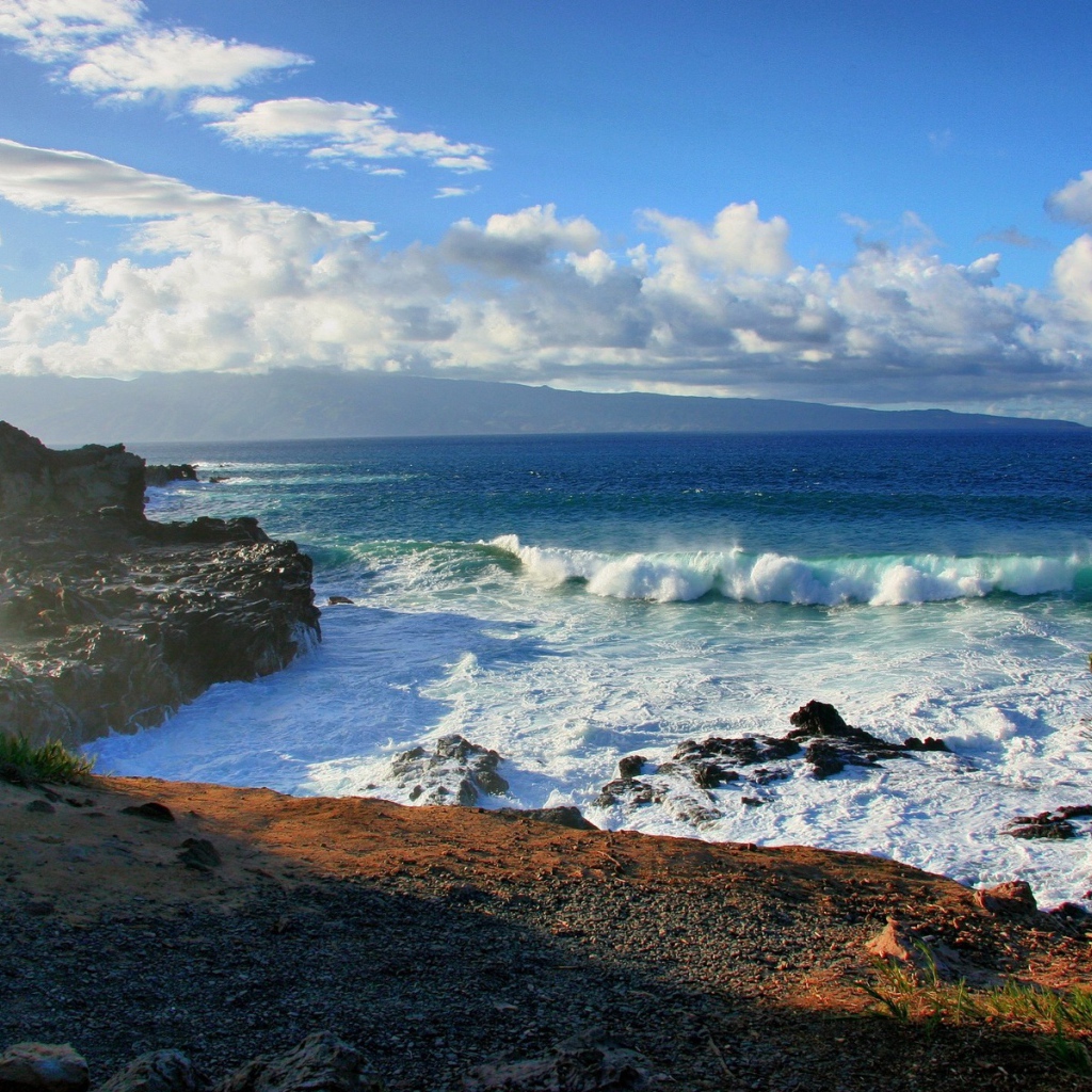 Берег океана