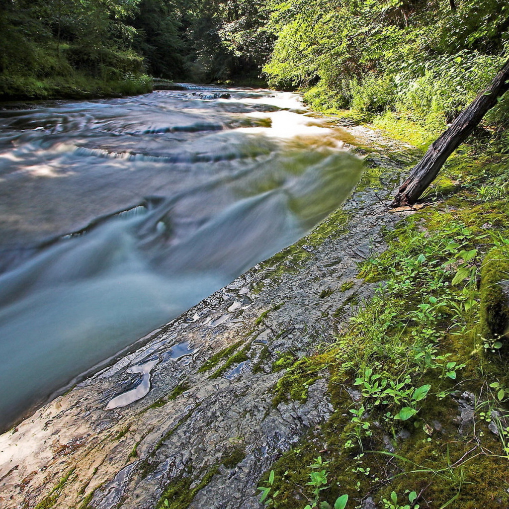 Стремительная речка