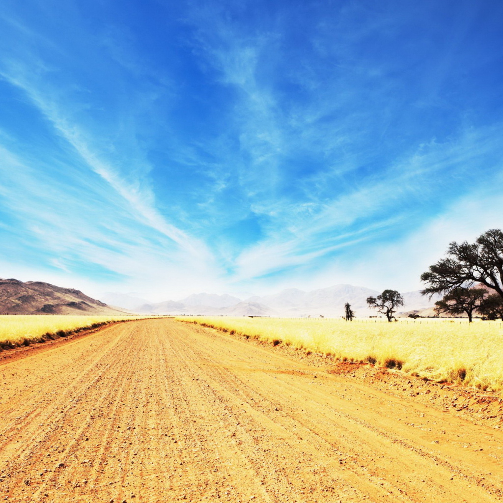 Дорога в саванне