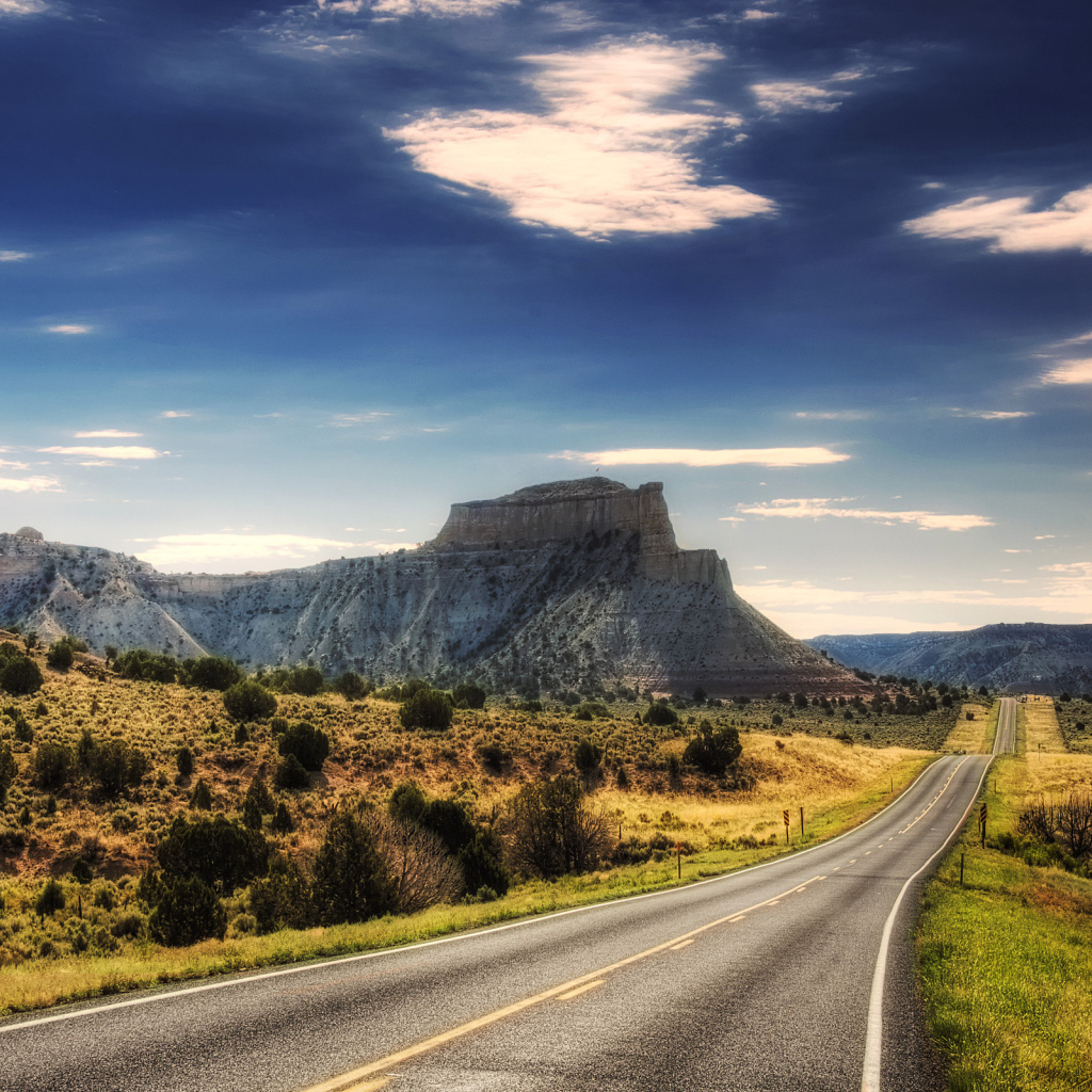 Придорожный пейзаж