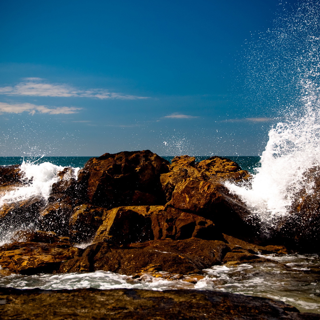 Прибрежная полоса