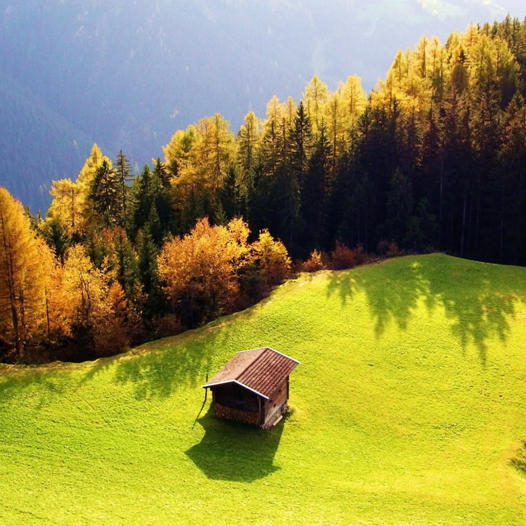 Сарай на горе