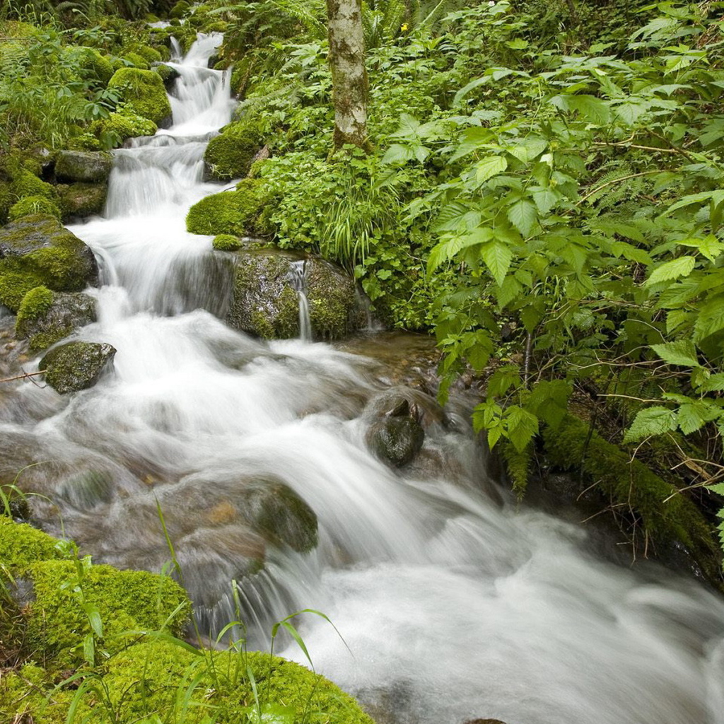 Маленький ручей