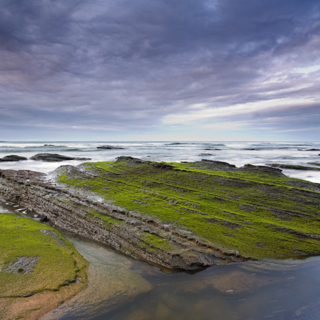 Камни у берега