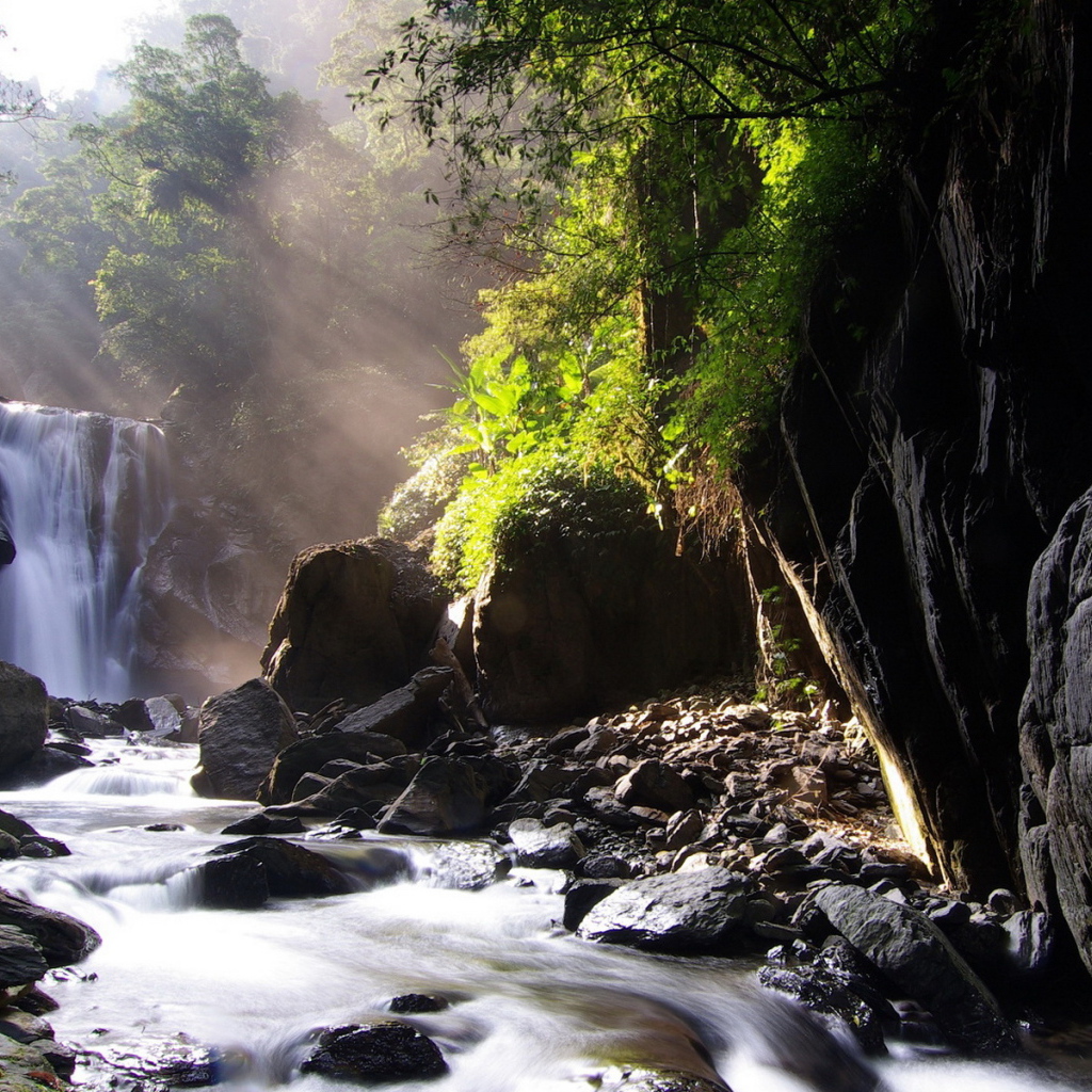 Ручей, лес, камни
