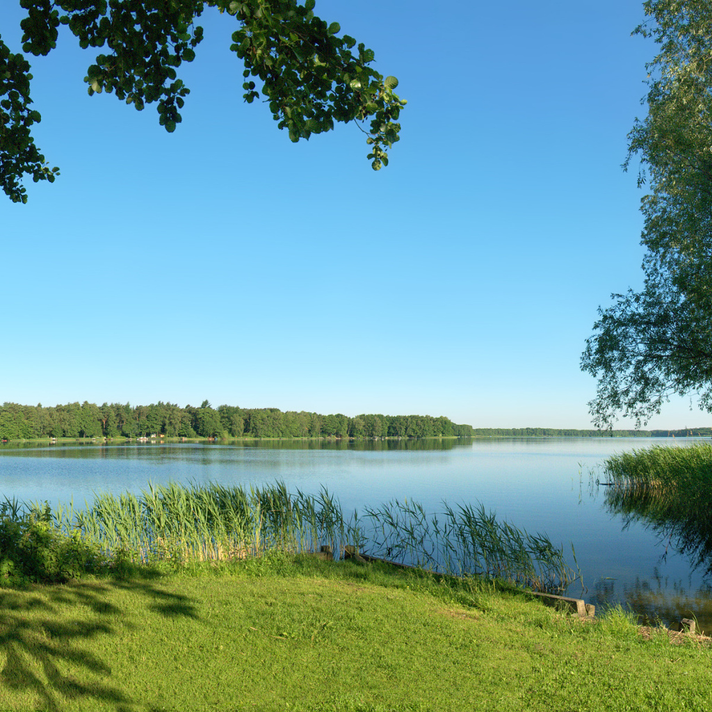 Летняя благодать