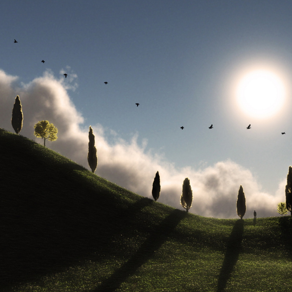 Солнечный холм