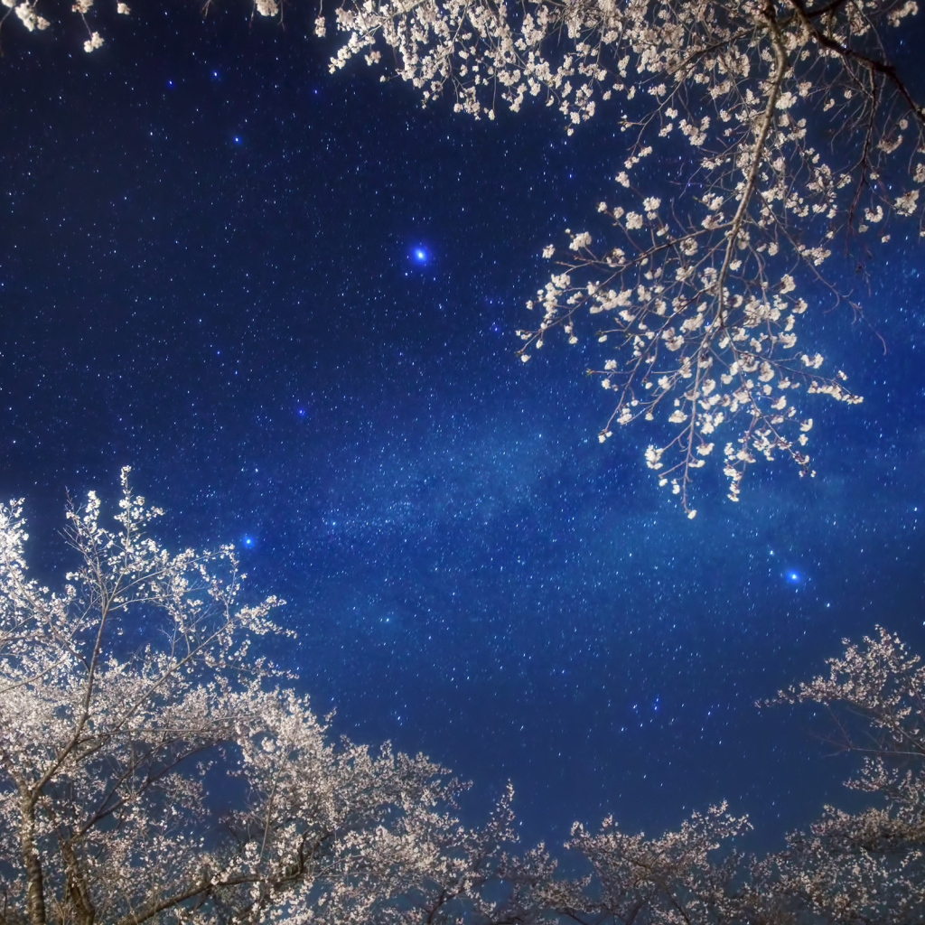 Млечный путь