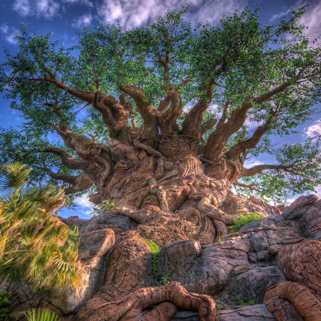 Дерево жизни