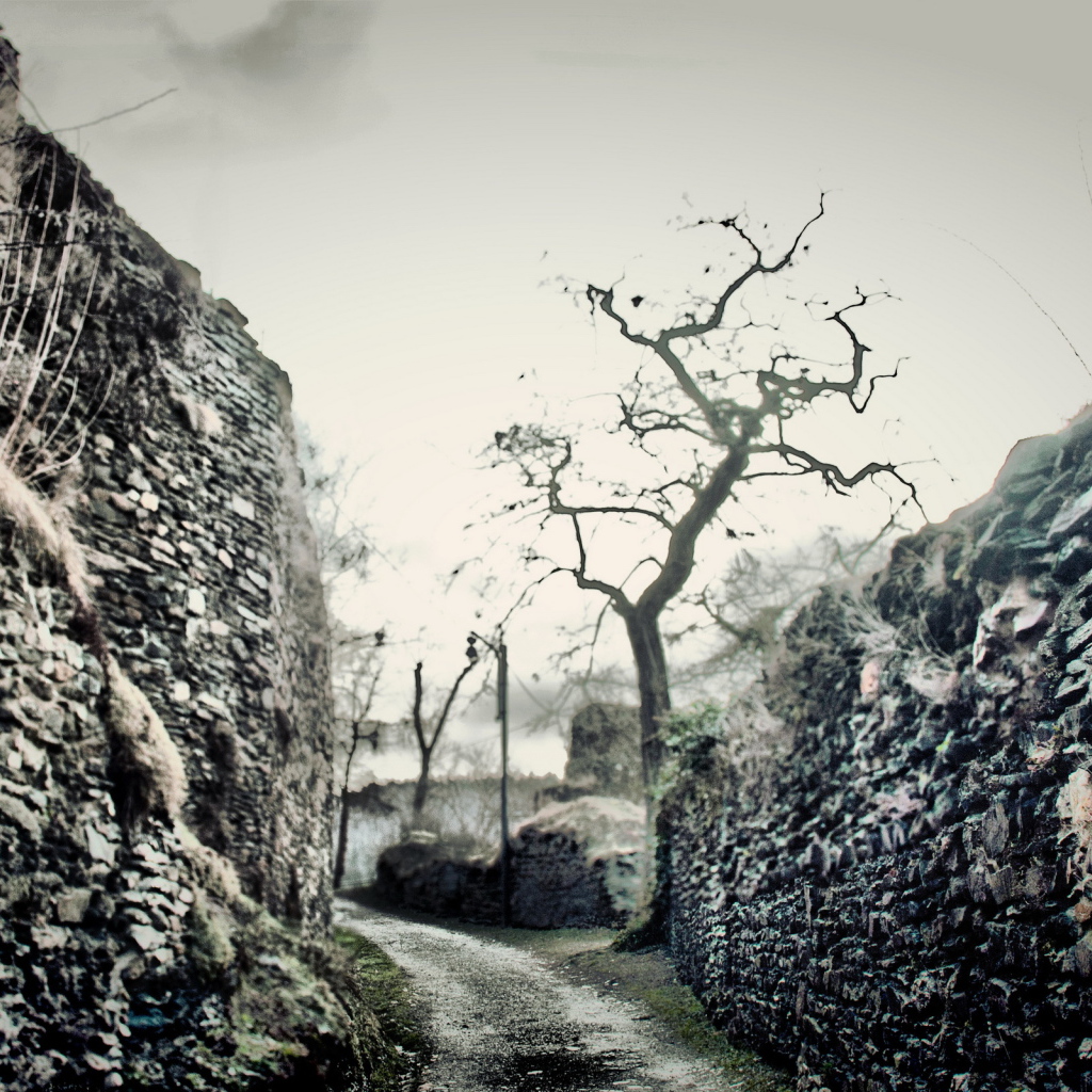 Дорожка между стен