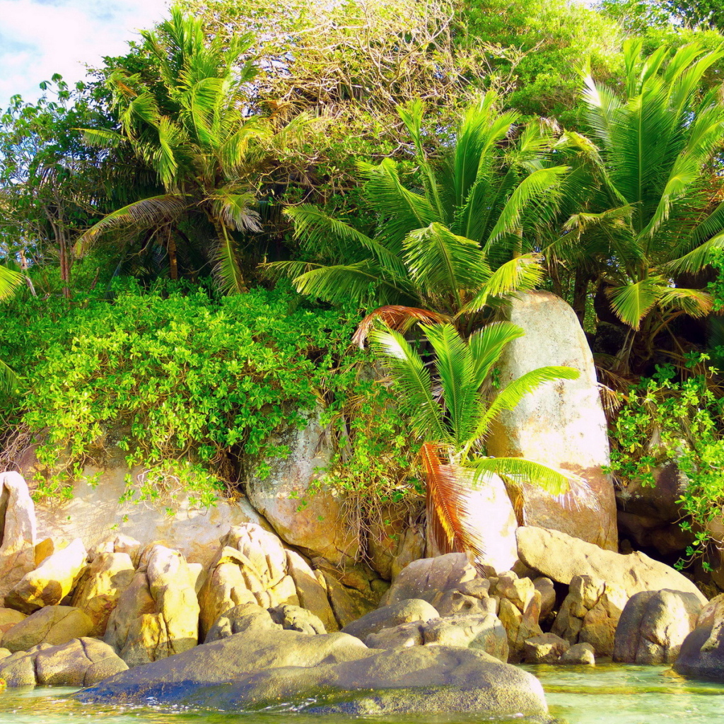 Природа тропиков