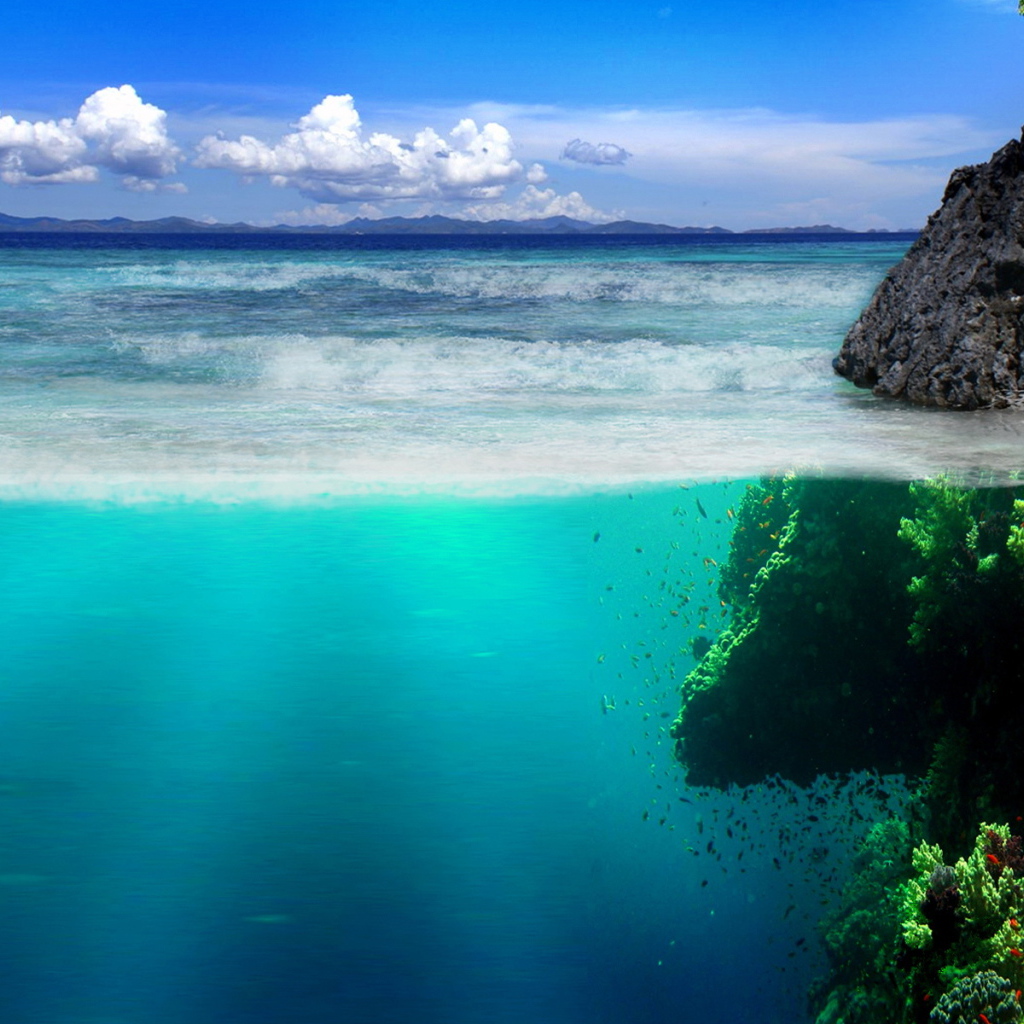 Подводный мир