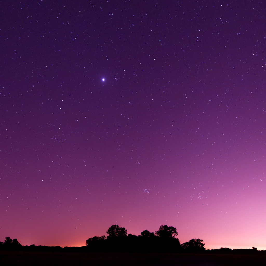 Фиолетовое небо