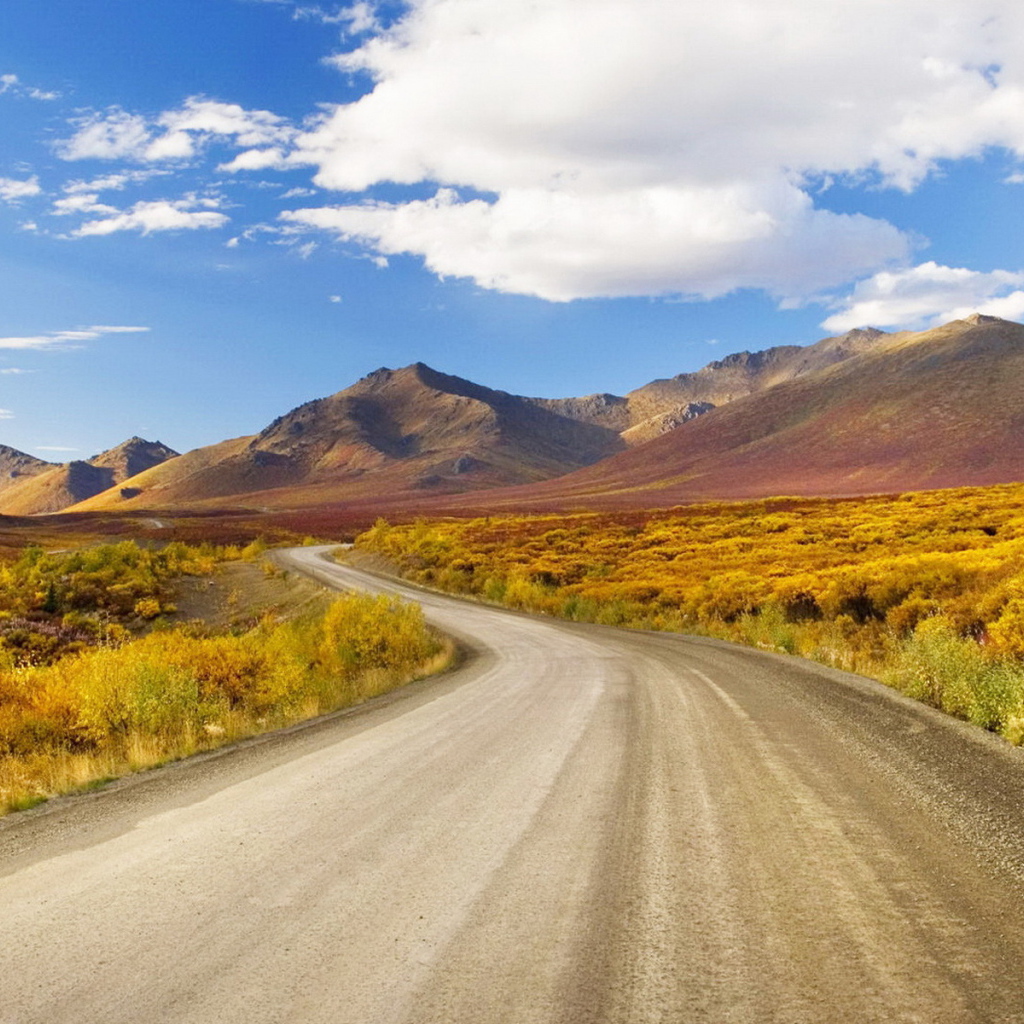 Извилистая дорога