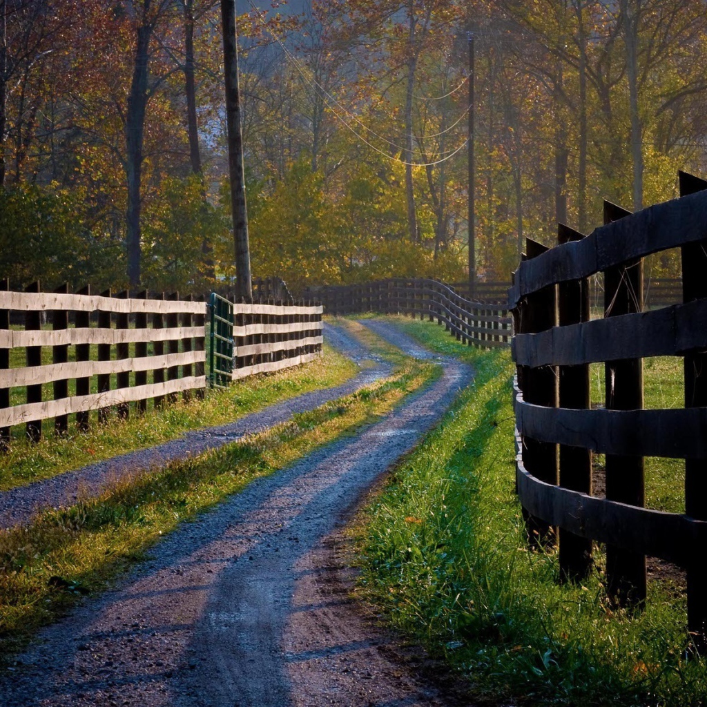 Деревянные заборы