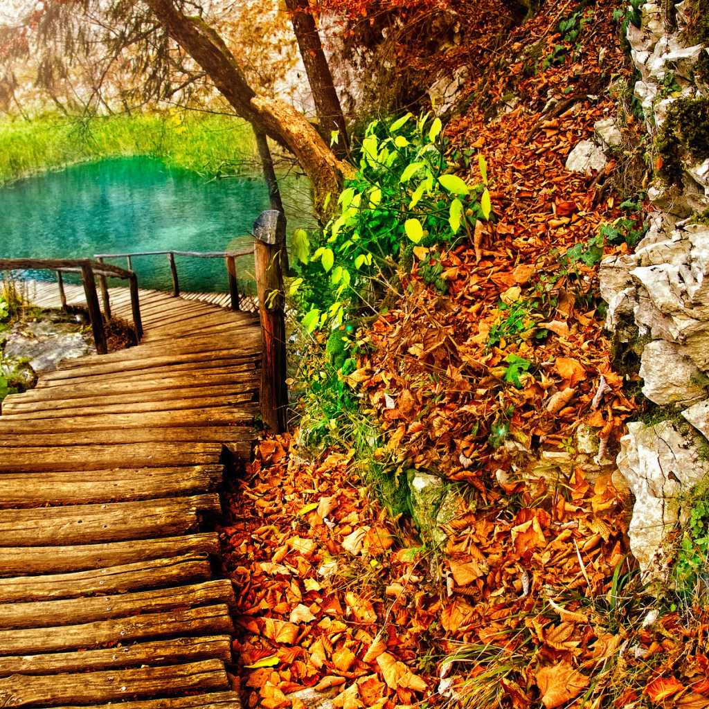 Дорожка к озеру