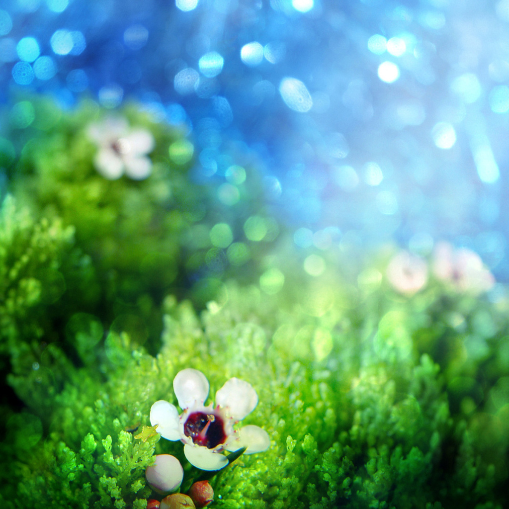 Зеленая трава