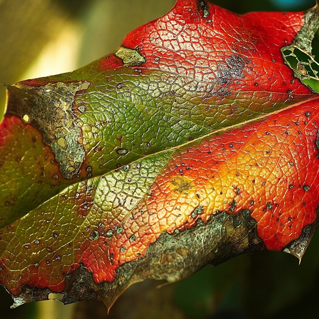 Яркий листик