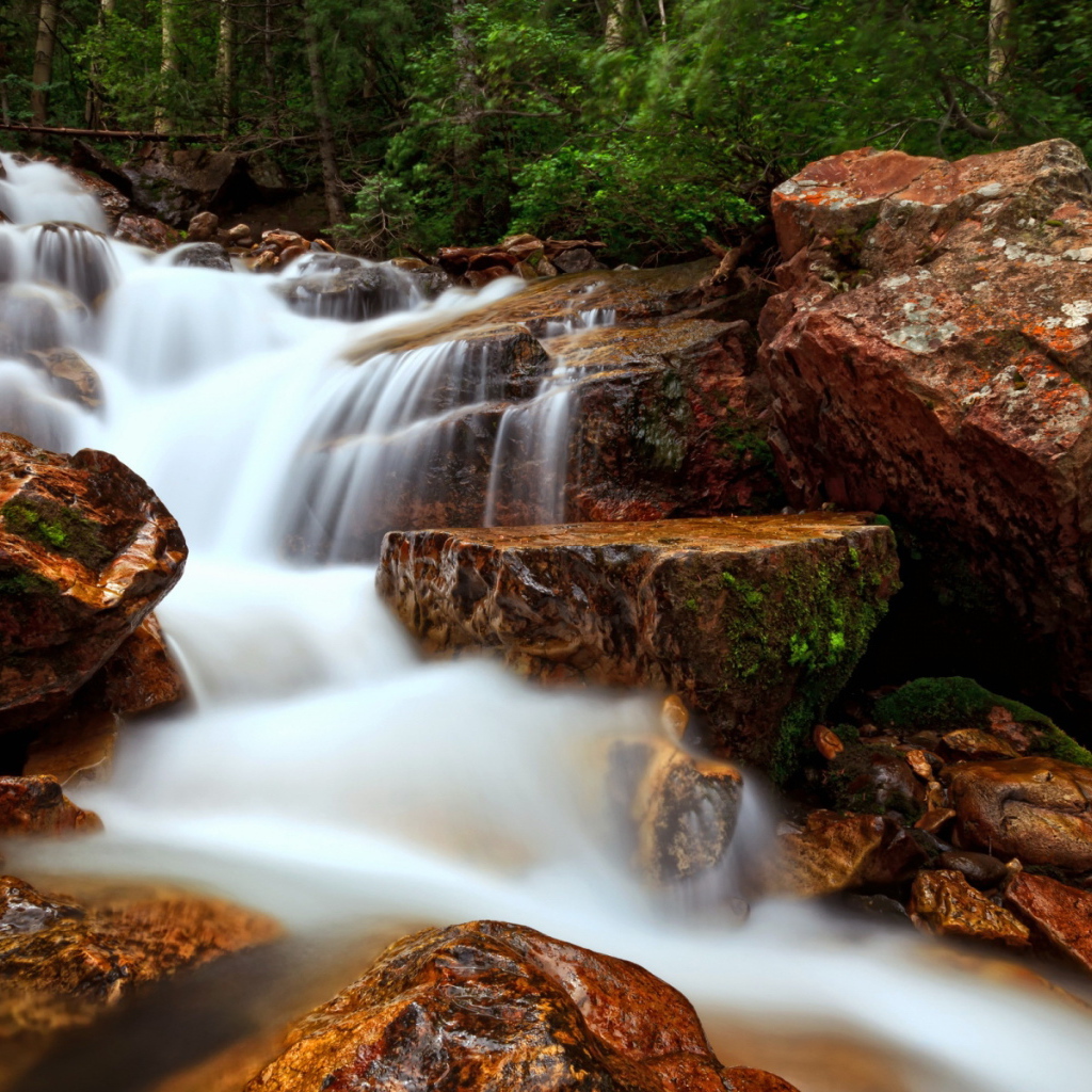 Лесной ручей