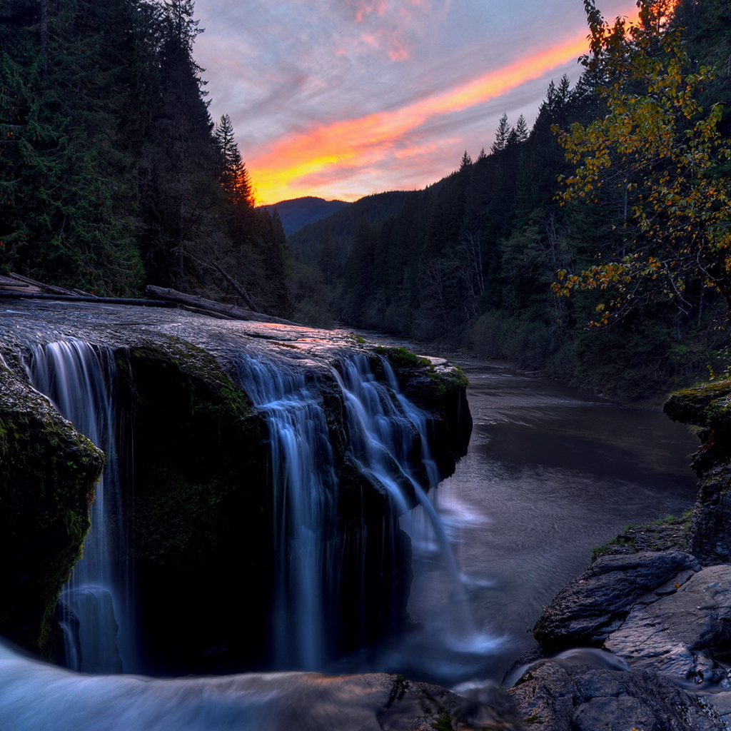 Речка в лесу