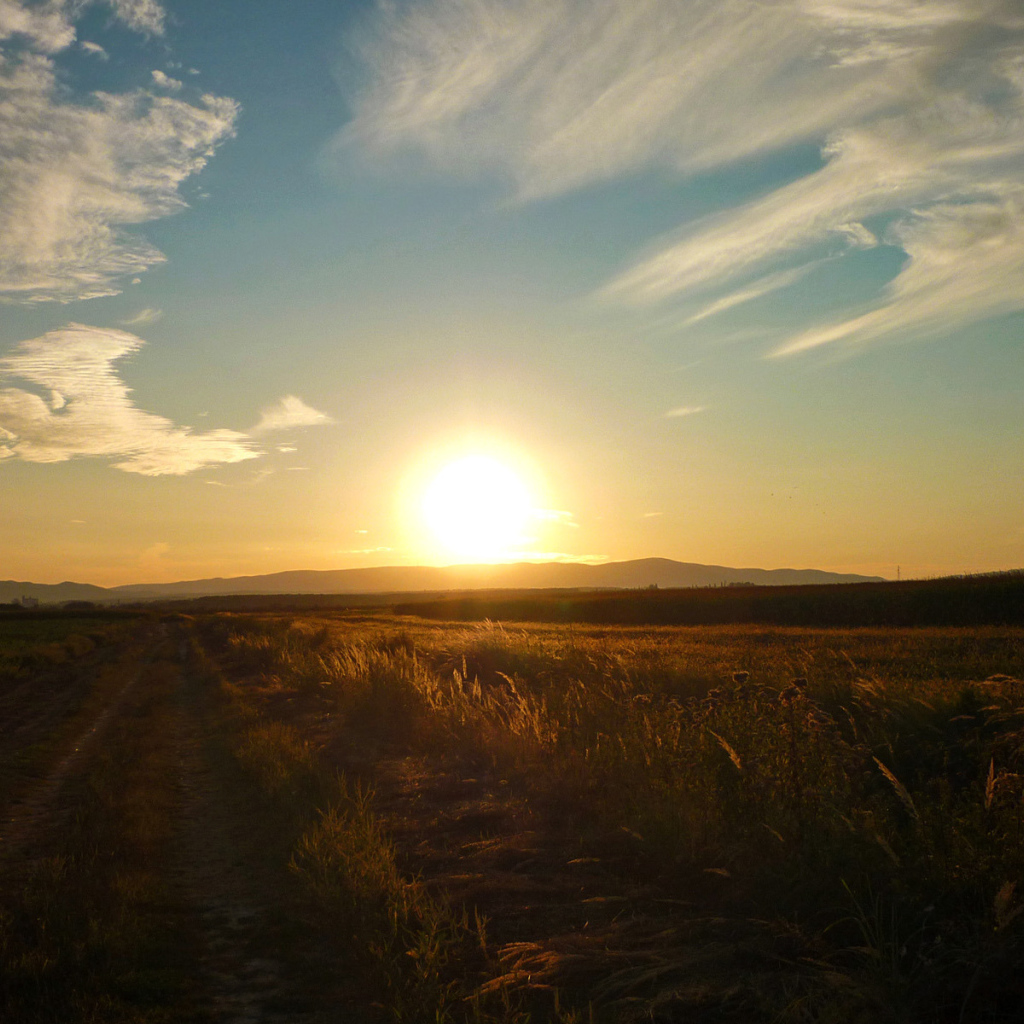 Закат в поле
