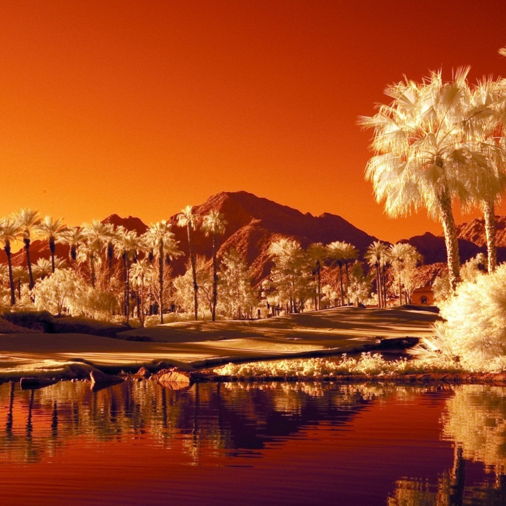 Последний закат