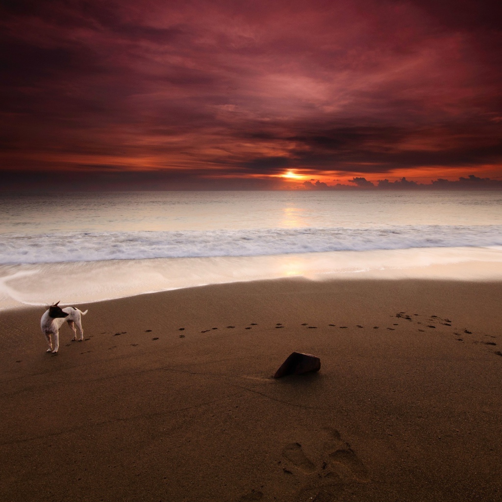 Фото Вечер на морском берегу