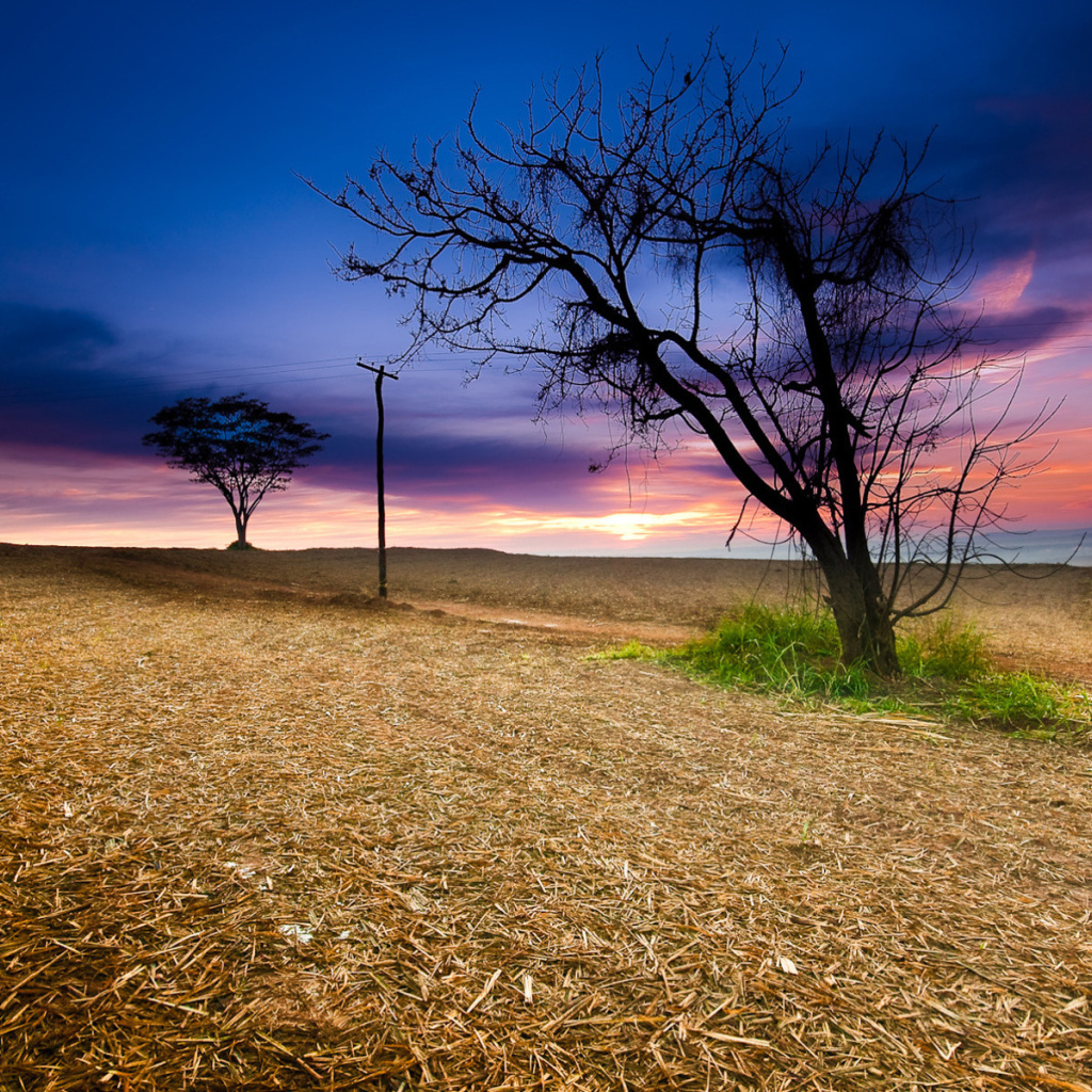 Закат в поле