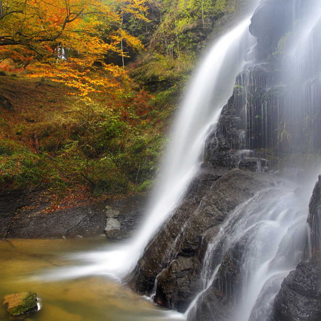 Водопад в лесу