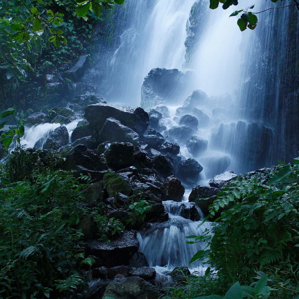 Лесной водопад