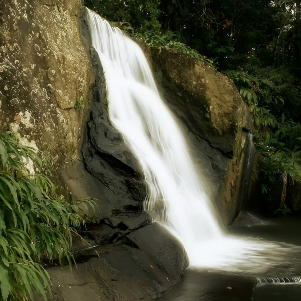 Маленький лесной водопад