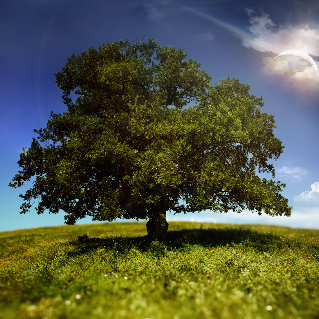 Мир фантазии