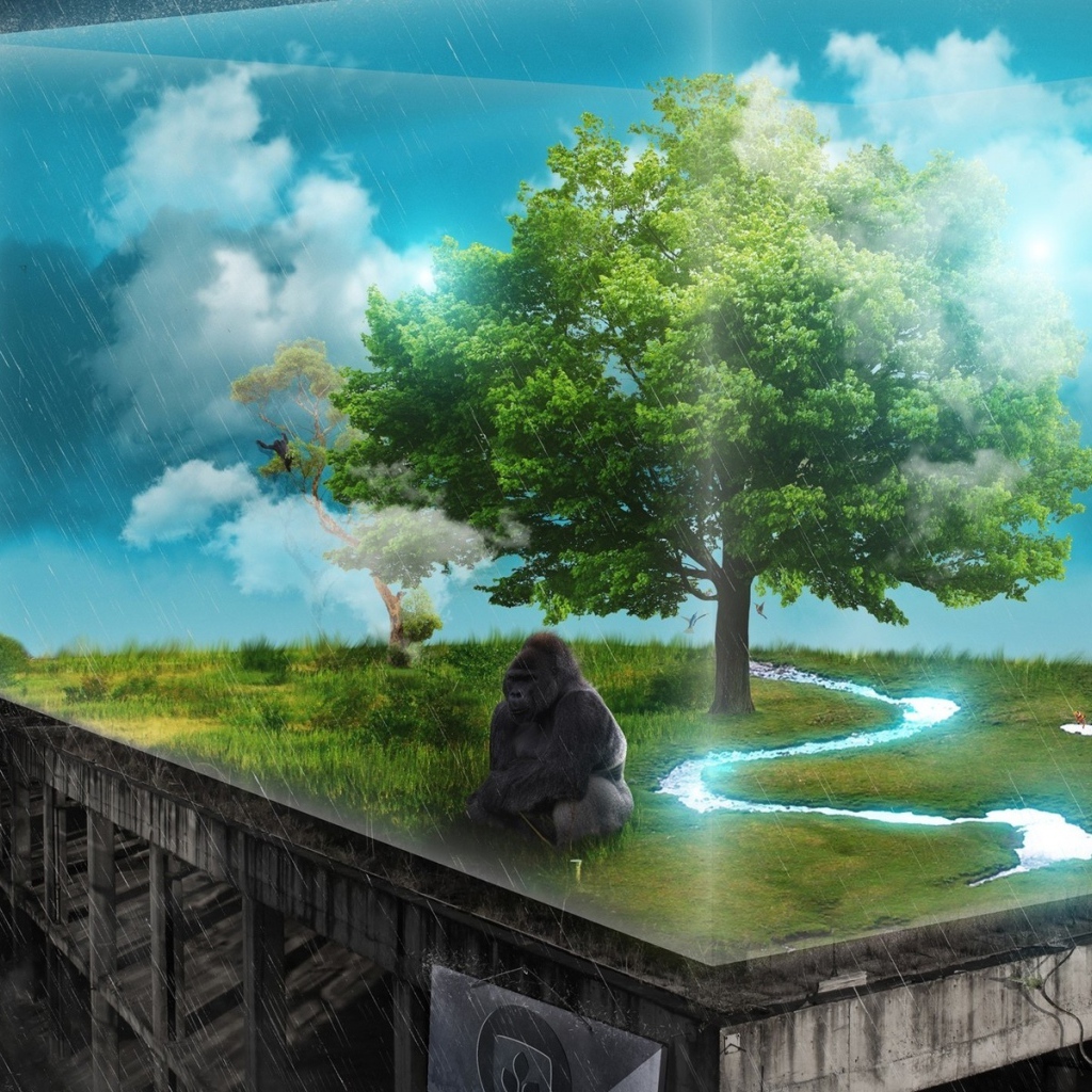 Зеленый уголок