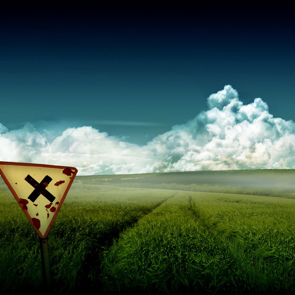 Зеленое поле