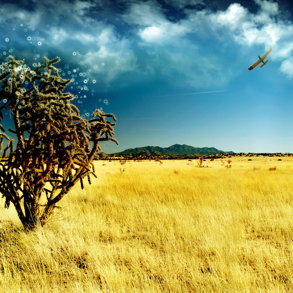 Волшебное дерево