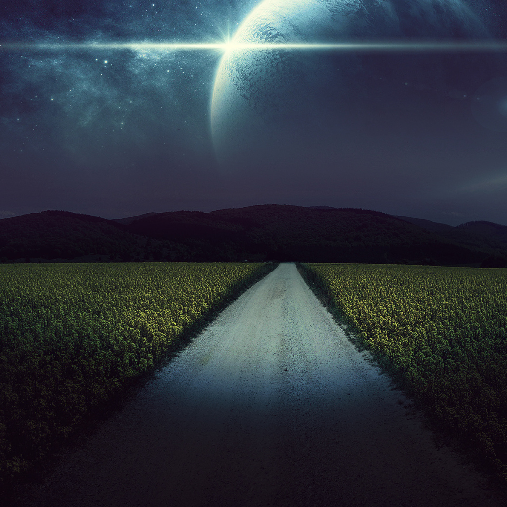 Ночная дорога