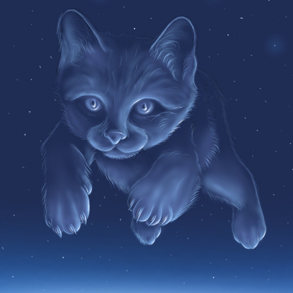 Созвездие кота