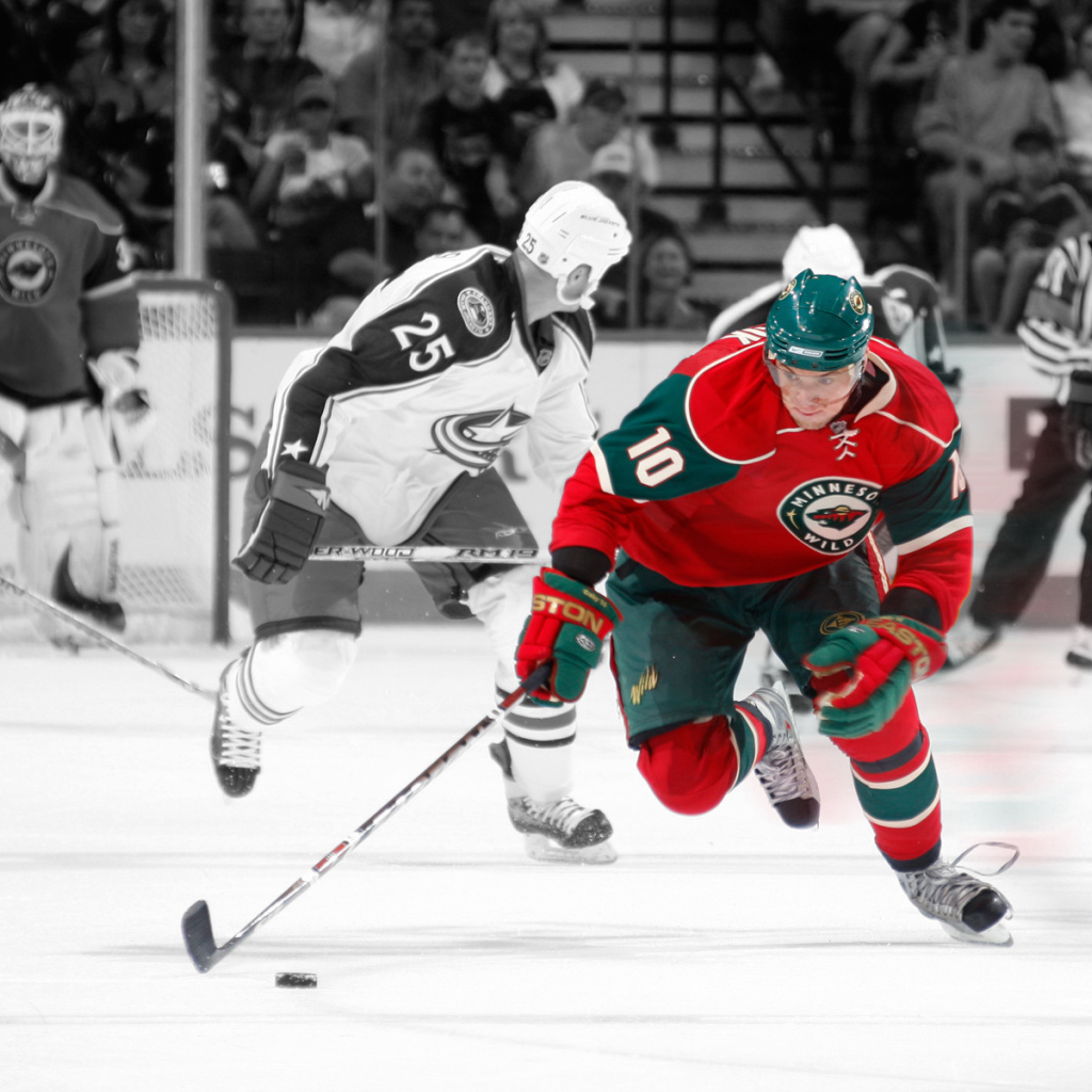 Minnesota Wild, NHL